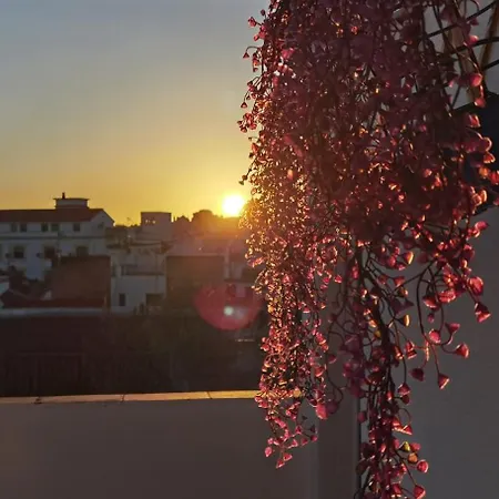 La Luz De San Eloy Córdoba