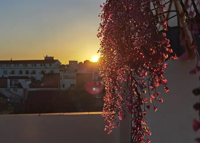 La Luz De San Eloy Cordoba